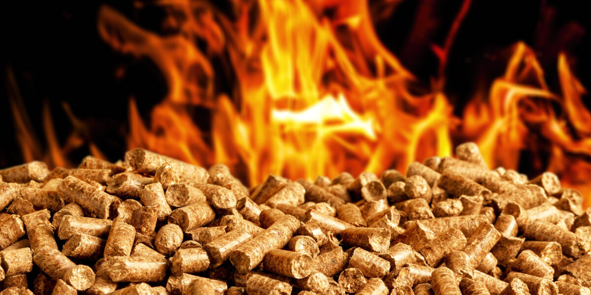 Biomass pellets madera