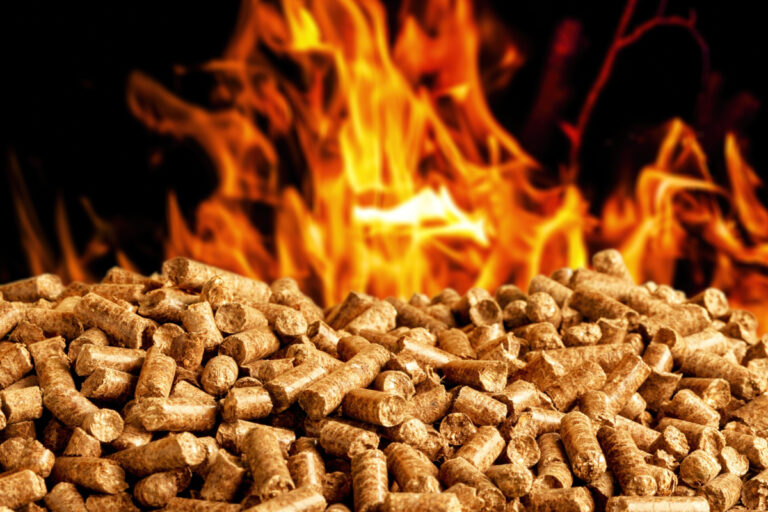 Biomass pellets madera